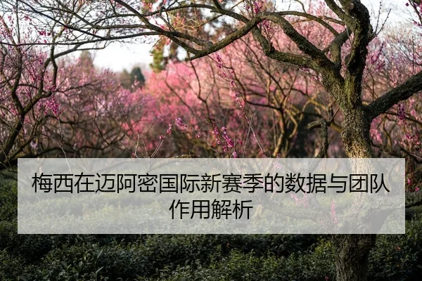 梅西在迈阿密国际新赛季的数据与团队作用解析